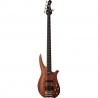 Washburn CB 50