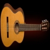 Washburn C40