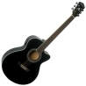 Washburn EA12 B